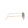 Ray-Ban ROUND METAL Sonnenbrillen 112/4L matte arista - Produkt-Miniaturansicht 3/4