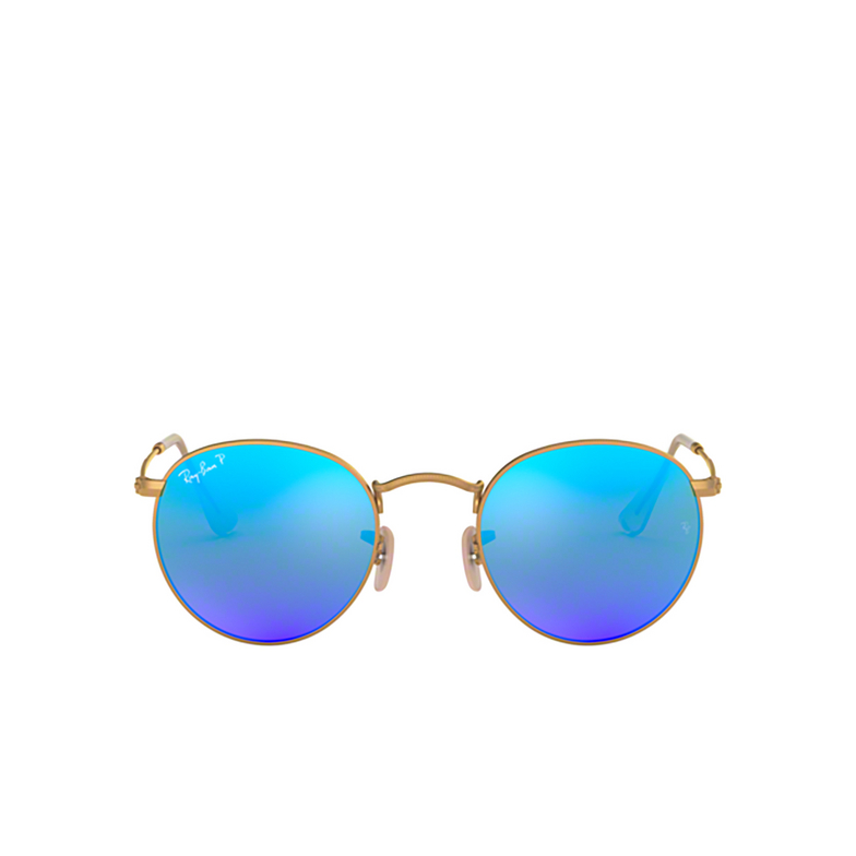 Ray-Ban ROUND METAL Sunglasses 112/4L matte arista - 1/4