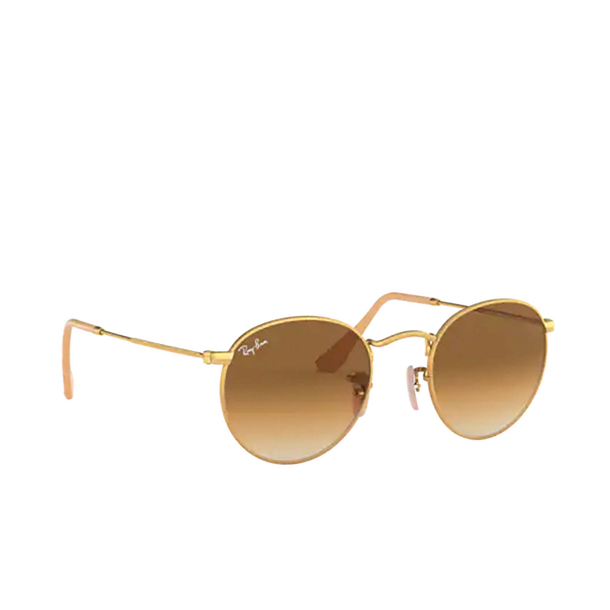 Ray-Ban ROUND METAL Sunglasses 112/51 MATTE ARISTA - three-quarters view