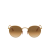Ray-Ban ROUND METAL Sunglasses 112/51 matte arista - product thumbnail 1/4
