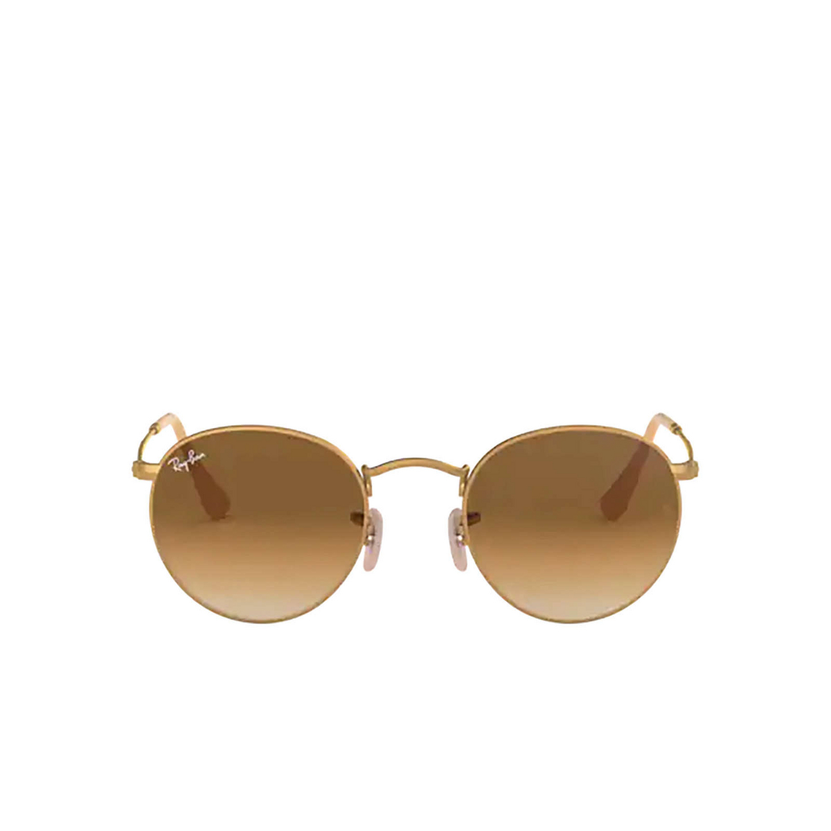 Ray-Ban ROUND METAL Sunglasses 112/51 MATTE ARISTA - front view