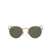 Ray-Ban ROUND METAL Sunglasses 112/58 matte arista - product thumbnail 1/4