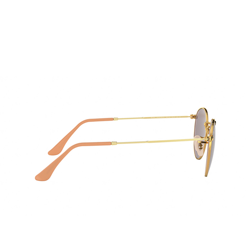 Ray-Ban ROUND METAL Sunglasses 9064V8 arista - 3/4