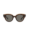 Ray-Ban ROUNDABOUT Sonnenbrillen 1292b1 havana on transparent brown - Produkt-Miniaturansicht 1/4