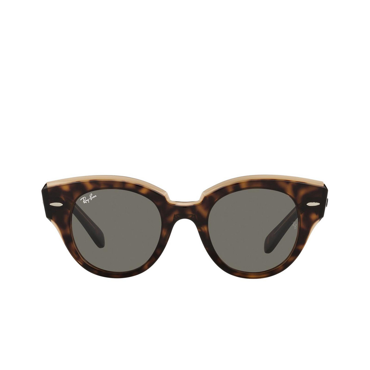 Ray-Ban ROUNDABOUT Sunglasses 1292B1 Havana on Transparent Brown - front view