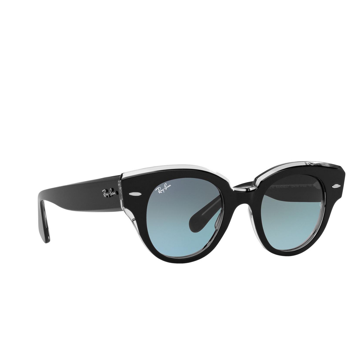 Ray-Ban ROUNDABOUT Sunglasses 12943M Black on Transparent - three-quarters view