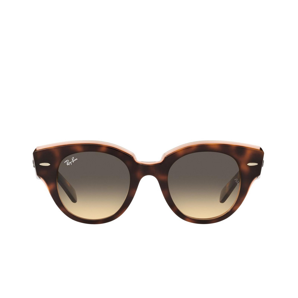 Ray-Ban ROUNDABOUT Sunglasses 1324BG Havana on Transparent Pink - front view