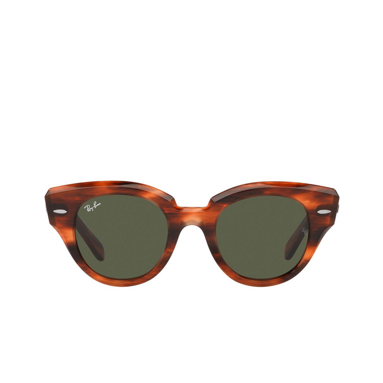 Ray-Ban ROUNDABOUT Sunglasses 954/31 striped havana - 1/4