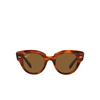 Ray-Ban ROUNDABOUT Sunglasses 954/57 striped havana - product thumbnail 1/4