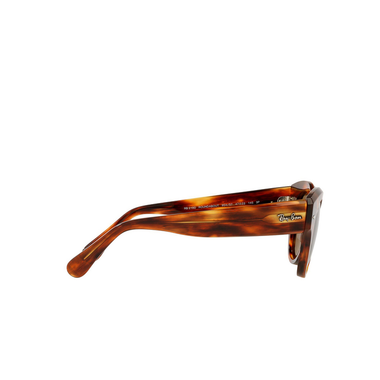 Ray-Ban ROUNDABOUT Sunglasses 954/57 striped havana - 3/4