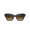 Ray-Ban STATE STREET Sunglasses 132085 blue on stripes orange / blue - product thumbnail 1/4
