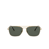 Ray-Ban TITANIUM Sonnenbrillen 9143 demi gloss white gold - Produkt-Miniaturansicht 1/4
