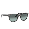 Ray-Ban WAYFARER II Sunglasses 1250AD grey havana - product thumbnail 2/4