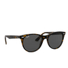 Ray-Ban WAYFARER II Sunglasses 1292B1 havana on transparent light bro - product thumbnail 2/4