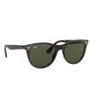 Ray-Ban WAYFARER II Sunglasses 902/31 tortoise - product thumbnail 2/4