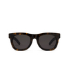 Retrosuperfuture CICCIO Sunglasses 9QJ classic havana - product thumbnail 1/4