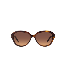 Saint Laurent® Butterfly Sunglasses: SL 400 color 003 Havana 