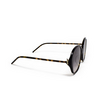 Saint Laurent SL M48S_B/K Sunglasses 004 dark havana - product thumbnail 2/4