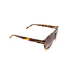 Tom Ford AUSTIN-02 Sunglasses 52T light havana - product thumbnail 2/4