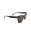 Tom Ford BROOKLYN Sonnenbrillen 56N havana - Produkt-Miniaturansicht 2/4