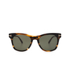 Gafas de sol Tom Ford BROOKLYN 56N havana - Miniatura del producto 1/4