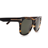 Tom Ford BROOKLYN Sunglasses 56N havana - product thumbnail 3/4