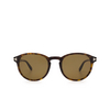 Tom Ford DANTE Sonnenbrillen 52J dark havana - Produkt-Miniaturansicht 1/4