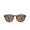 Tom Ford DANTE Sunglasses 52M dark havana - product thumbnail 1/4