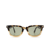 Gafas de sol Tom Ford DARIO 56N havana - Miniatura del producto 1/4