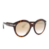 Tom Ford FT0661 Sunglasses 52G havana - product thumbnail 2/5