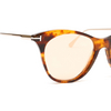 Tom Ford FT0662 Sunglasses 55G brown - product thumbnail 3/5
