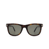 Gafas de sol Tom Ford LEO 56R havana - Miniatura del producto 1/4
