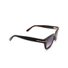 Tom Ford SNOWDON Sunglasses 05B black - product thumbnail 2/4