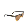 Tom Ford STEPHENSON Sunglasses 56E havana & honey - product thumbnail 2/4