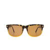 Gafas de sol Tom Ford STEPHENSON 56E havana & honey - Miniatura del producto 1/4