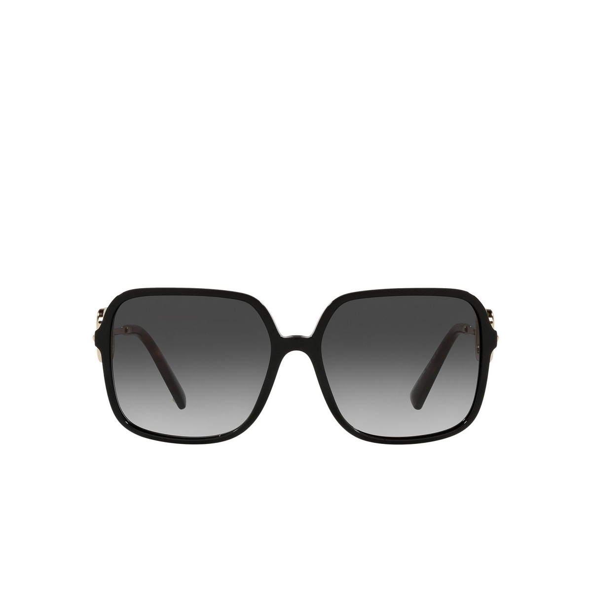 Valentino VA4101 Sunglasses 50018G Black - front view