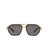 Versace VE2228 Sunglasses 100281 havana - product thumbnail 1/4