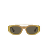 Versace VE2235 Sunglasses 1002/3 transparent brown mirror gold - product thumbnail 1/4