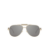Versace VE2236 Sunglasses 12526G pale gold - product thumbnail 1/4