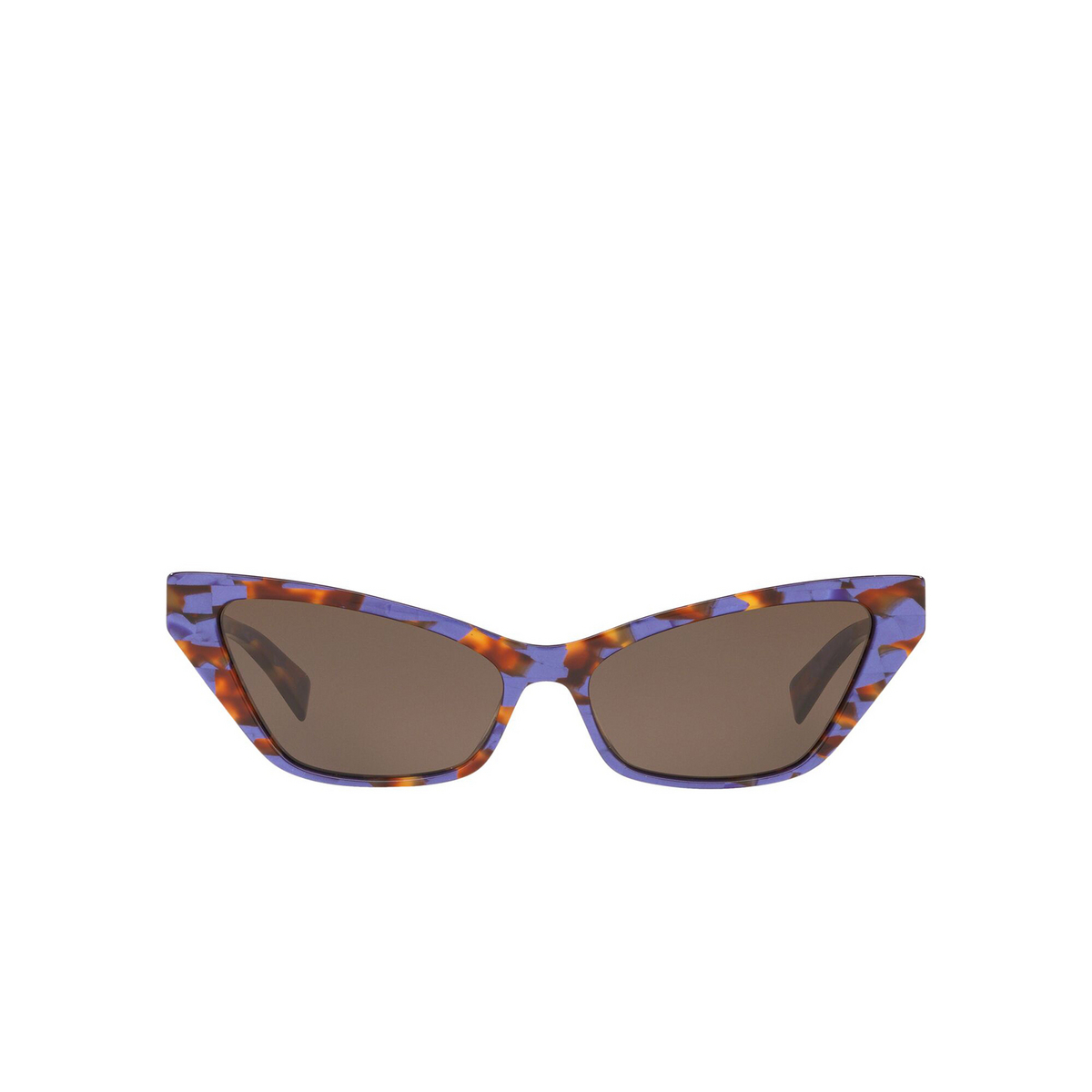 Alain Mikli® Cat-eye Sunglasses: Le Matin A05036 color Violet Spotted Tortoise 010/73 - front view.