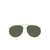 Burberry ALICE Sunglasses 110971 light gold - product thumbnail 1/4