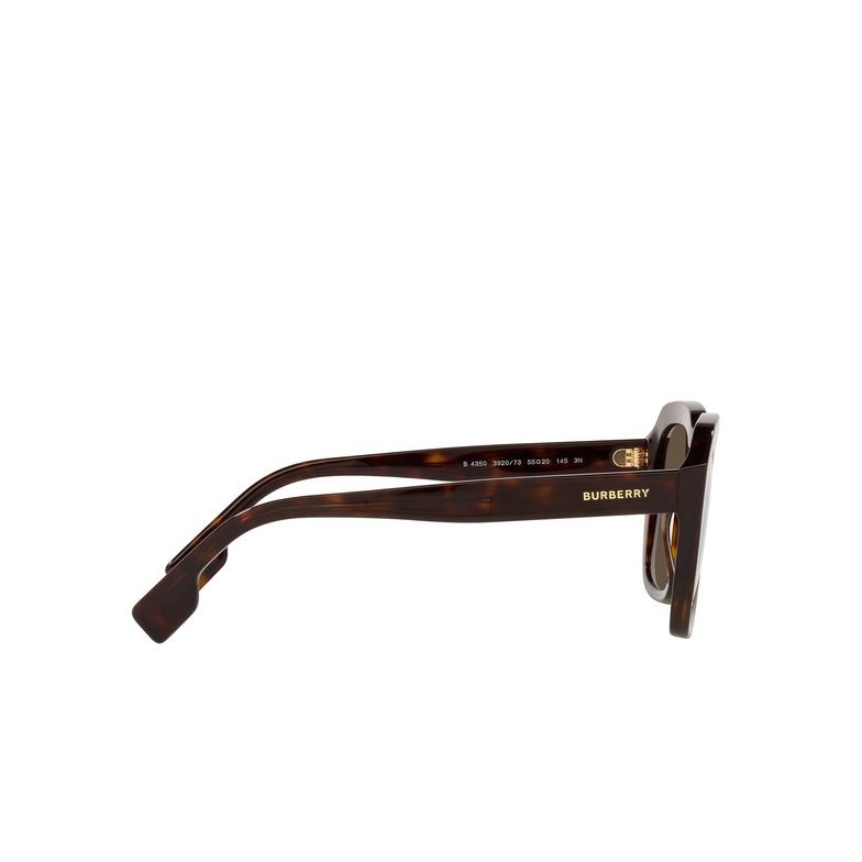 Burberry ASTLEY Sunglasses 392073 dark havana - 3/4