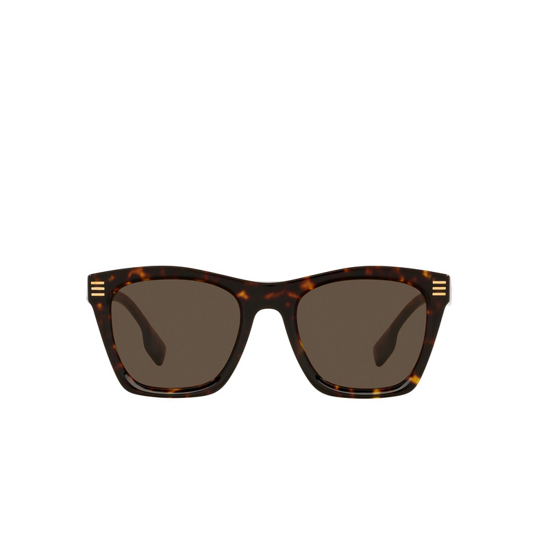 Burberry COOPER Sunglasses 300273 dark havana - 1/4