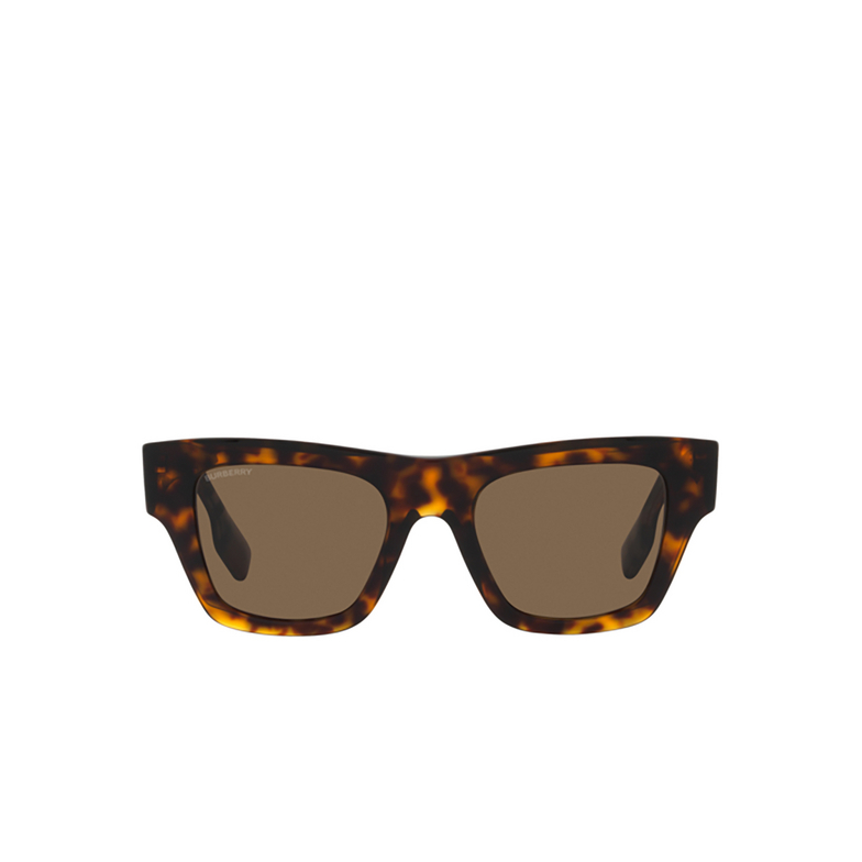 Burberry ERNEST Sunglasses 399173 dark havana - 1/4