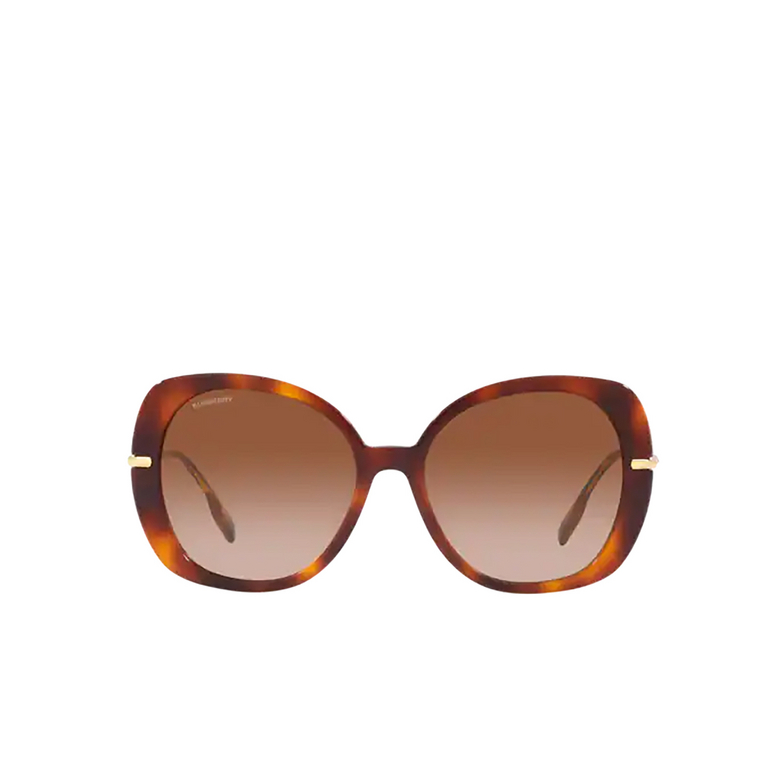 Burberry EUGENIE Sunglasses 331613 light havana - 1/4