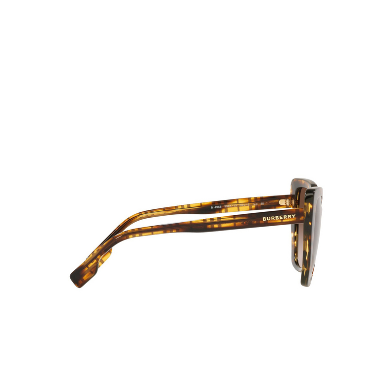 Burberry TASMIN Sunglasses 398113 top check / striped brown - 3/4