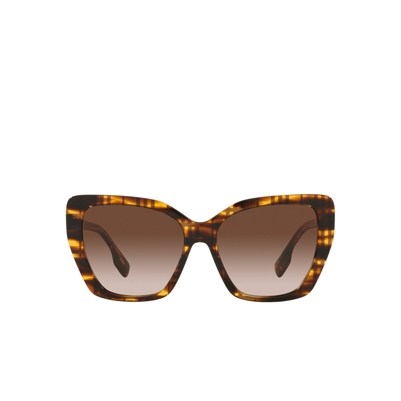 Burberry TASMIN Sunglasses 398113 top check / striped brown - 1/4