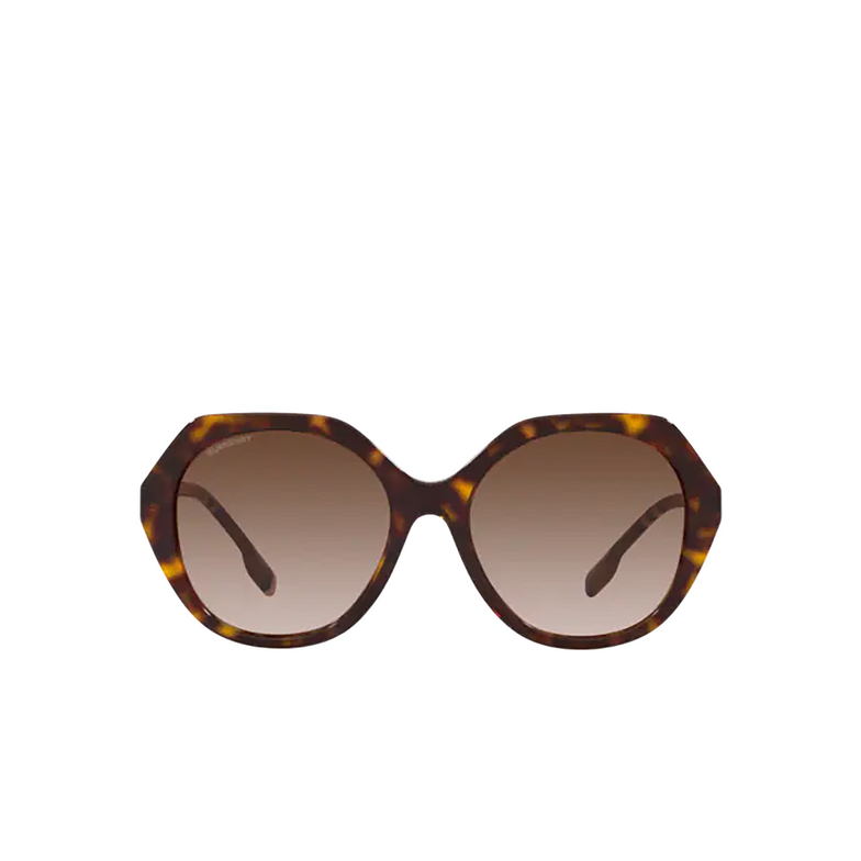 Burberry VANESSA Sunglasses 401713 dark havana - 1/4