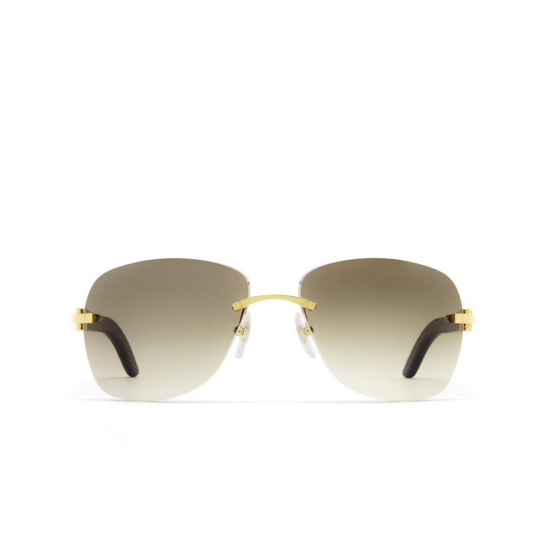 Cartier CT0014RS Sunglasses 001 gold - 1/5