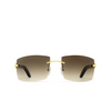 Cartier CT0021RS Sunglasses 001 gold - product thumbnail 1/4